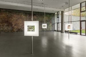 The Anthropocene Project | A Report. Adam Avikainen: CSI Department of Natural Resources, 17.10.-08.12.2014, Installation view