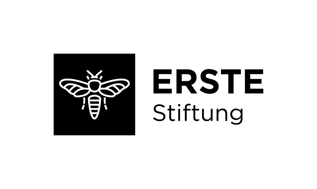 Logo Erste Stiftung