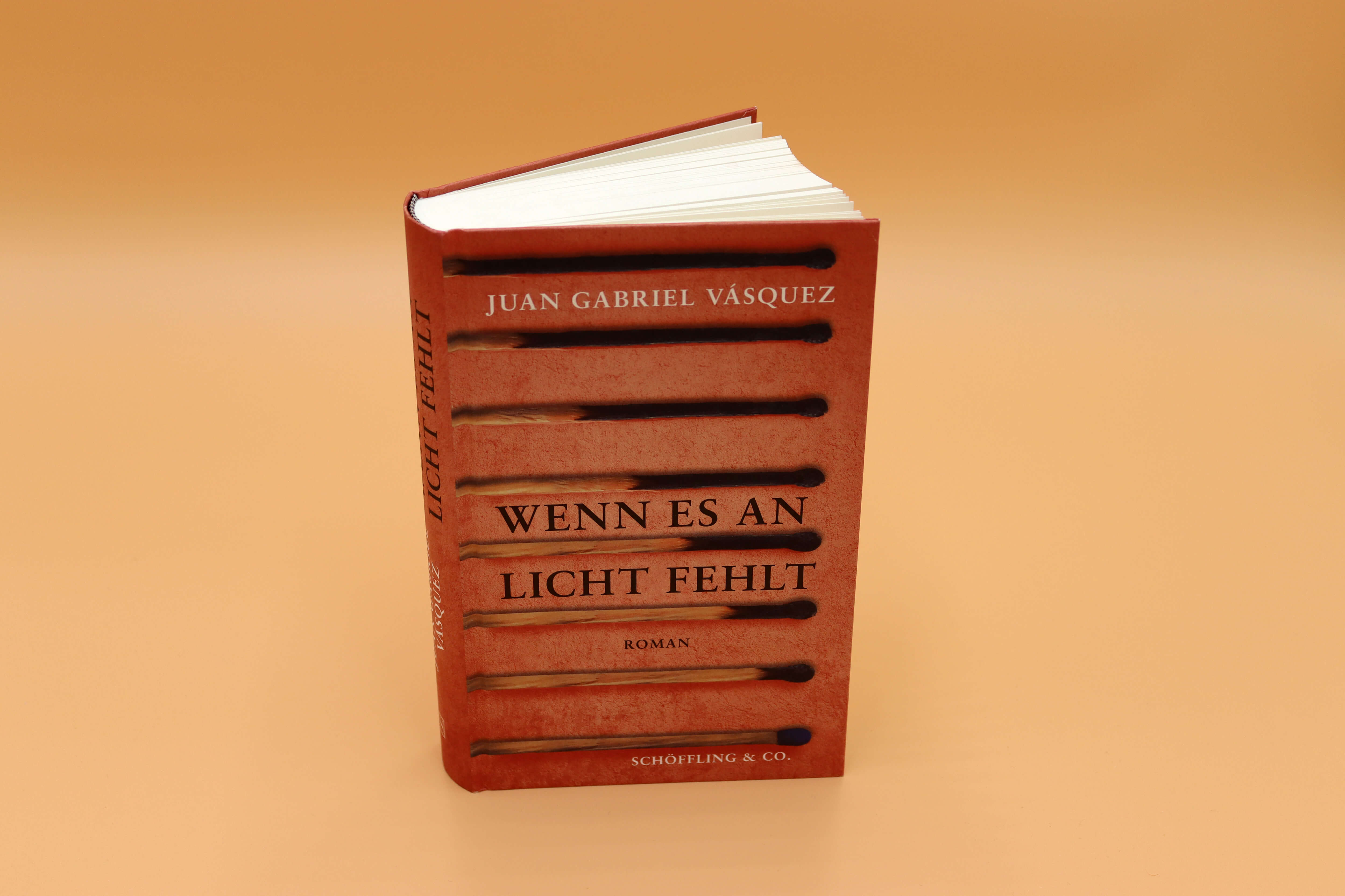 Cover: Wenn es an Licht fehlt, Juan Gabriel Vásquez