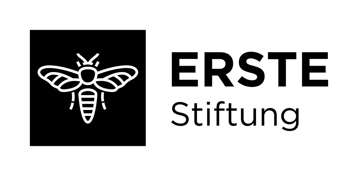 Logo Erste Stiftung