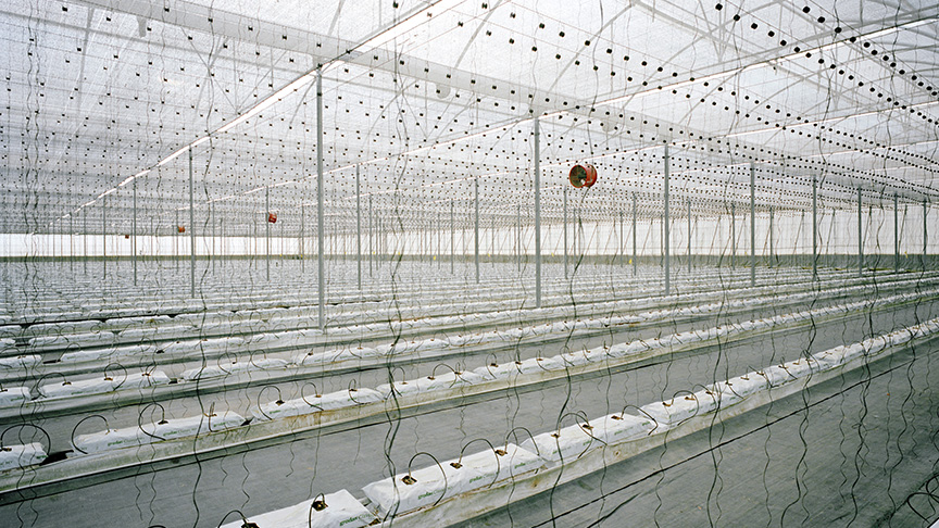 Greenhouse, El Ejido, Spain, 2013 | © Armin Linke